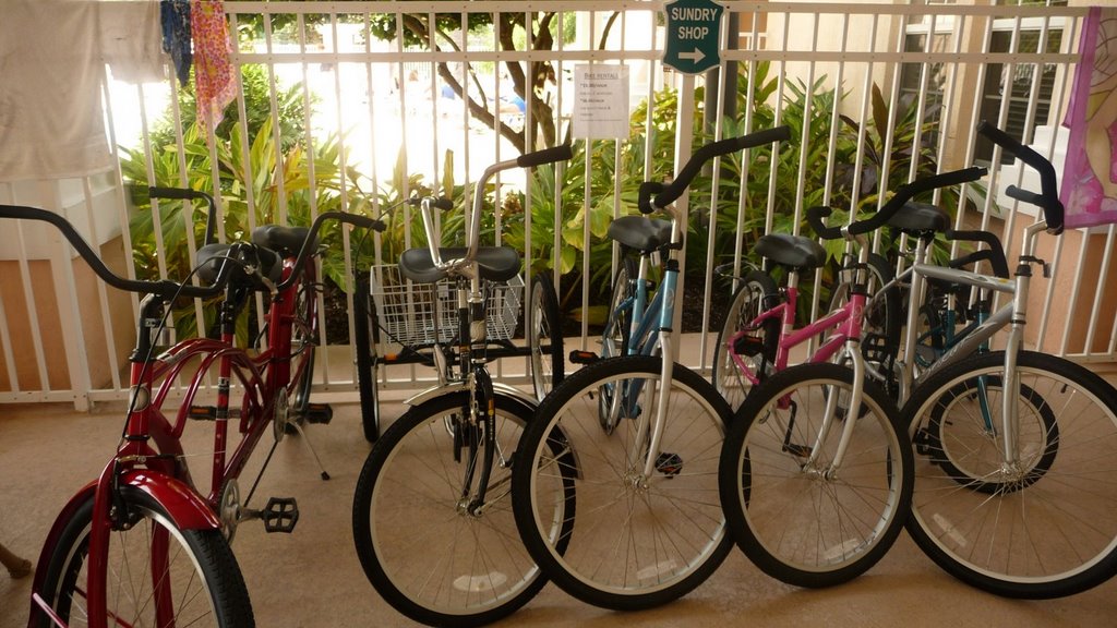 bike hire